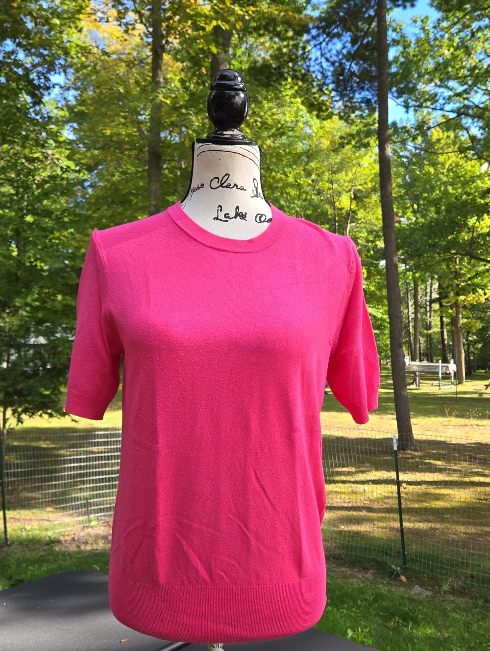 Zara Short-Sleeve Crewneck Top in Bright Pink